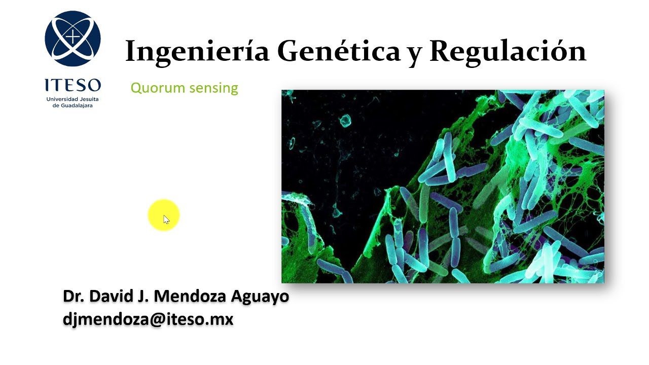 Quorum sensing