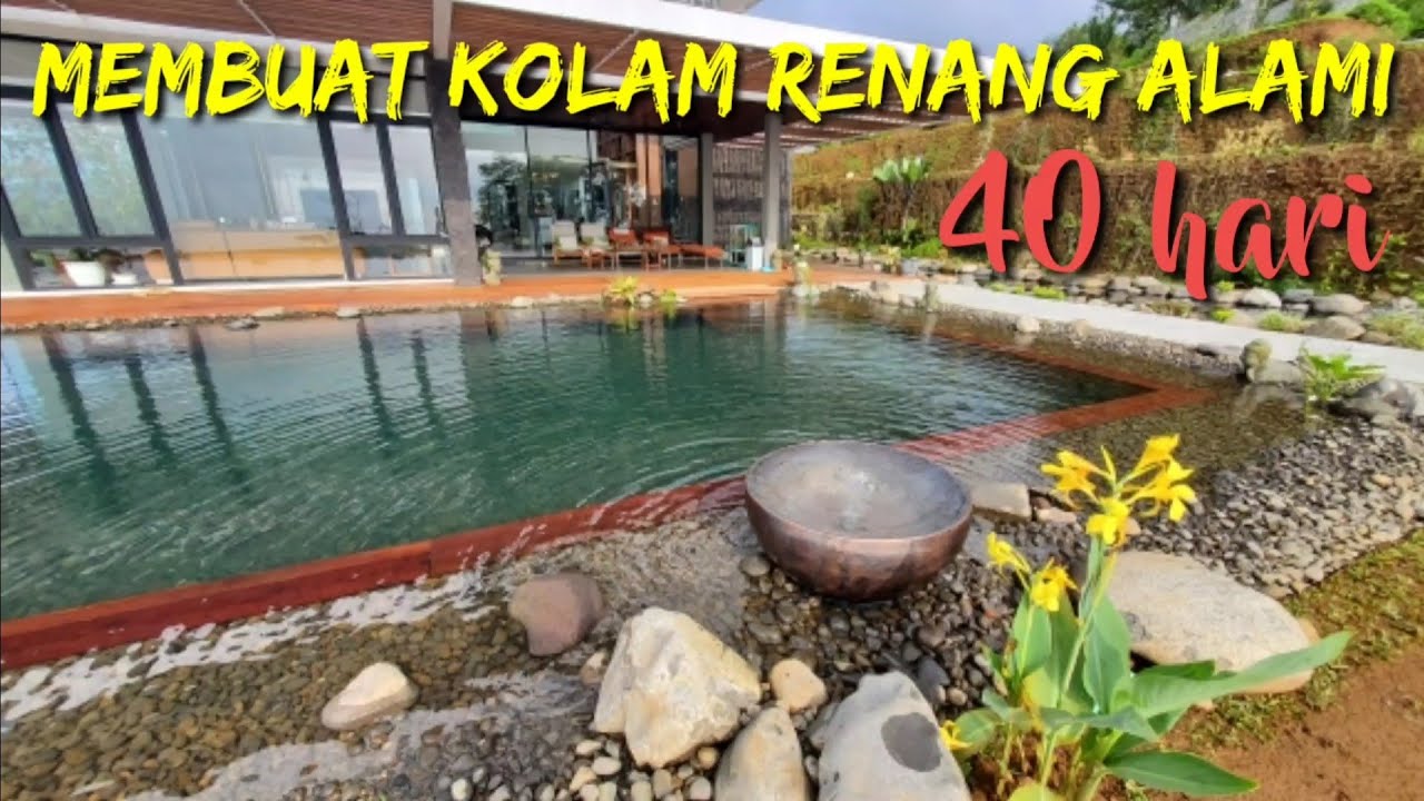 Membuat Kolam Renang Alami dari awal sampai selesai