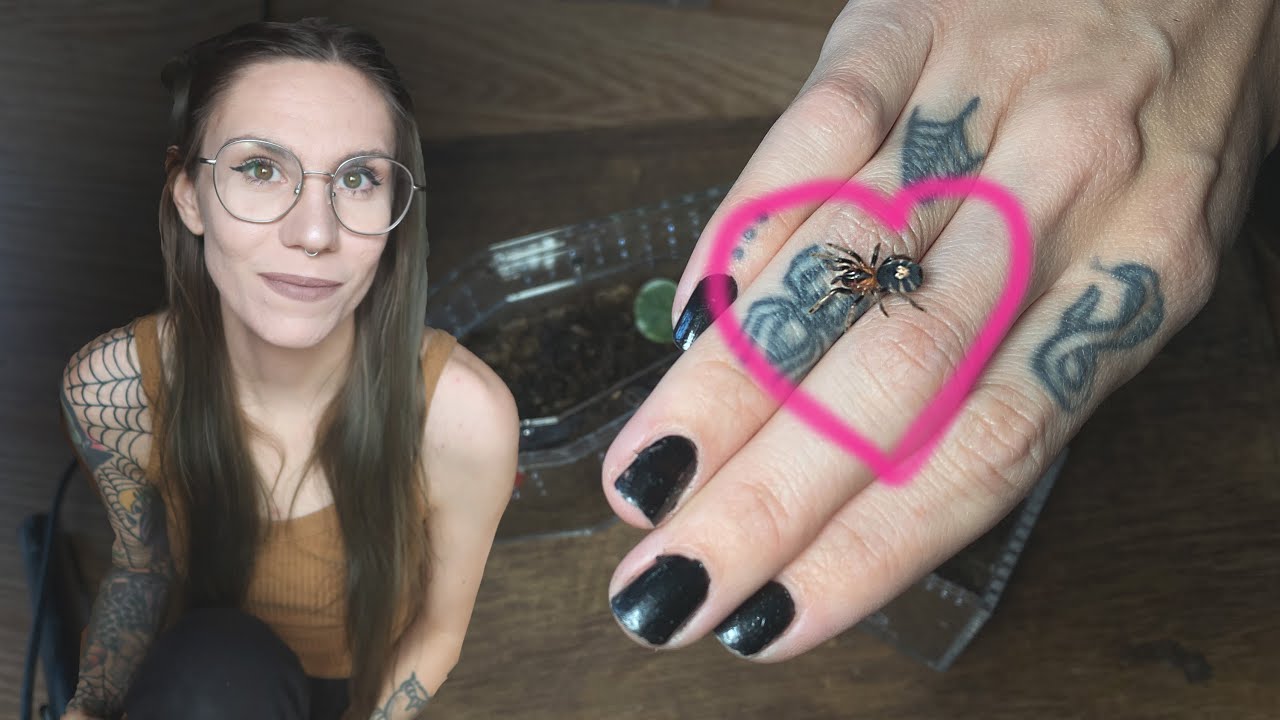 CUTEST MINIATURE TARANTULA tries new MINI COFFIN enclosure &hearts; C elegans