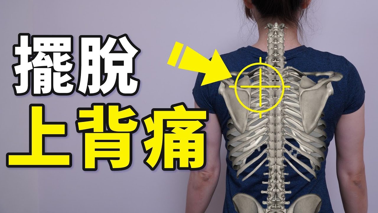 告別上背痛，來看看什麼是「反向動作」｜#啾c物理治療師 #膏肓痛 #反向動作