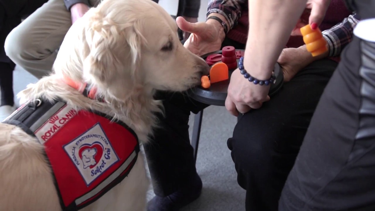 Psy, koty i my - Dogoterapia i...