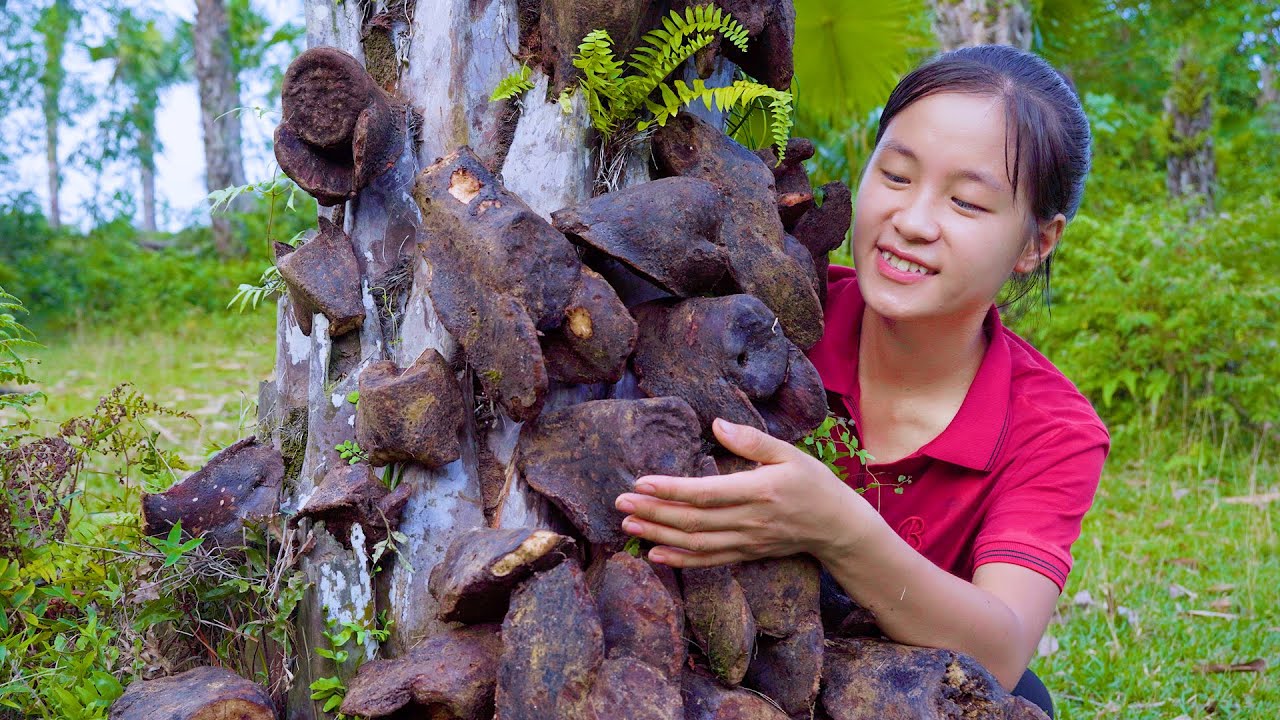Ella Harvesting Horseshoe Tubers Goes to the market sell
