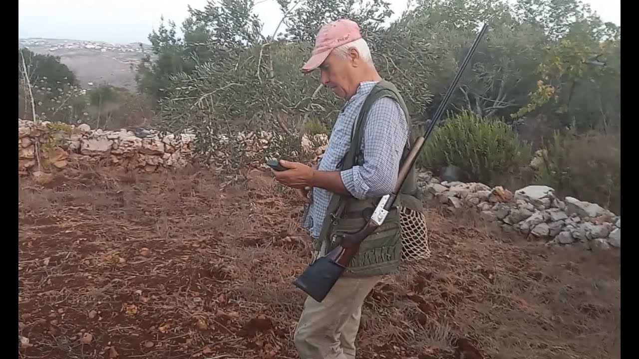بداية موسم صيد عصفور التين في شهر تشرين أول | Eurasian Blackcap bird hunt (Season, October 2022)