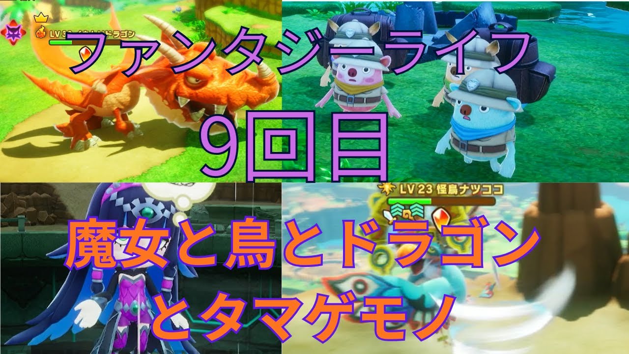 ファンタジーライフ９回目 魔女と鳥とドラゴンとタマゲモノ