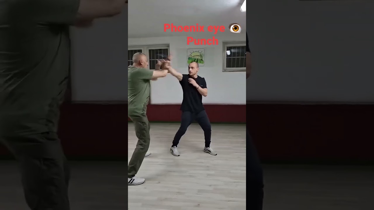Wing Chun Naumov Phoenix #wingchun #wingchunkungfu #kungfu #sports