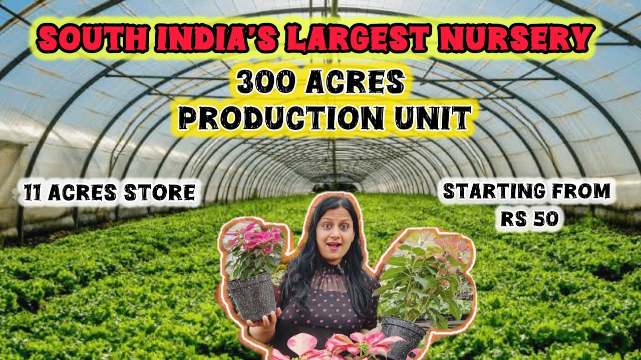 300 Acres Production unit 😍 South India's Biggest Nursery Revealed || PCR Nursery Tour !!