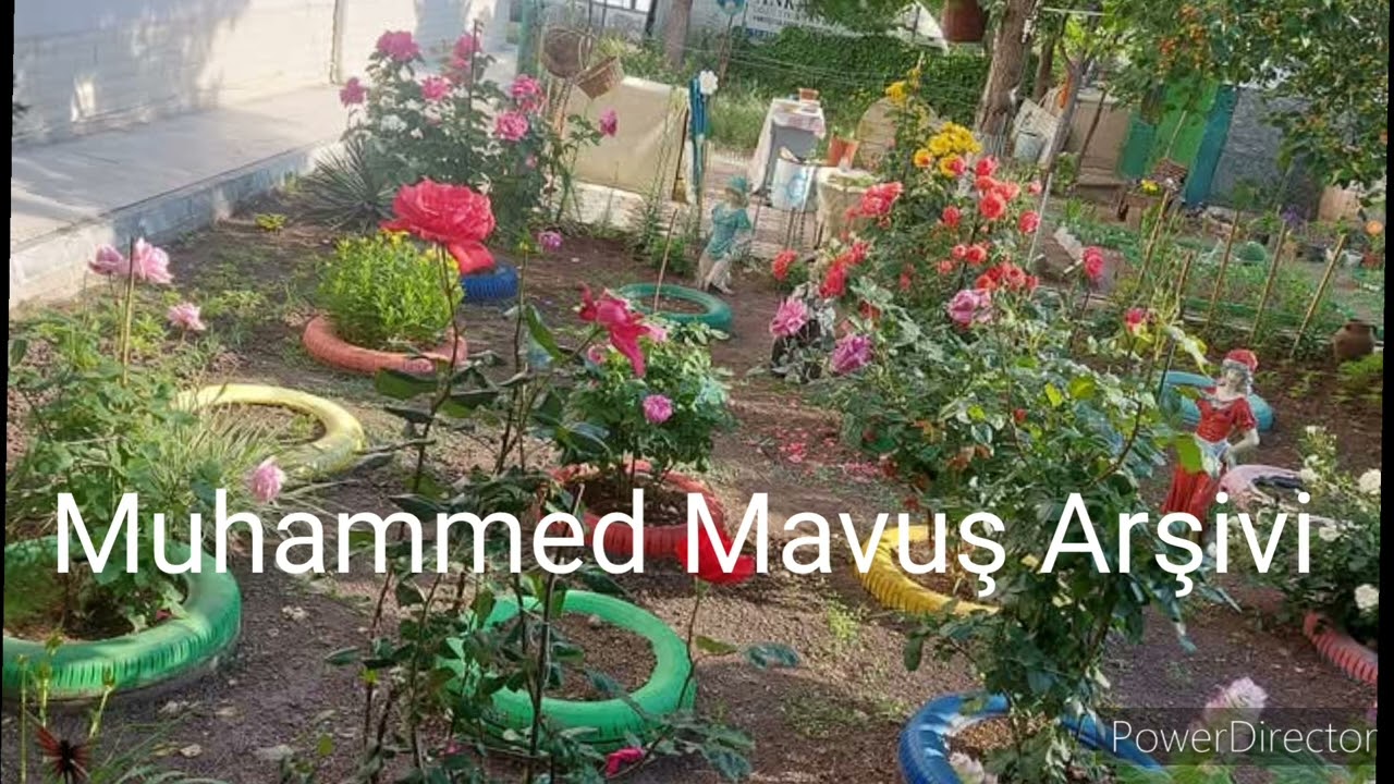 Seha Okuş Güzele Bak Güzel