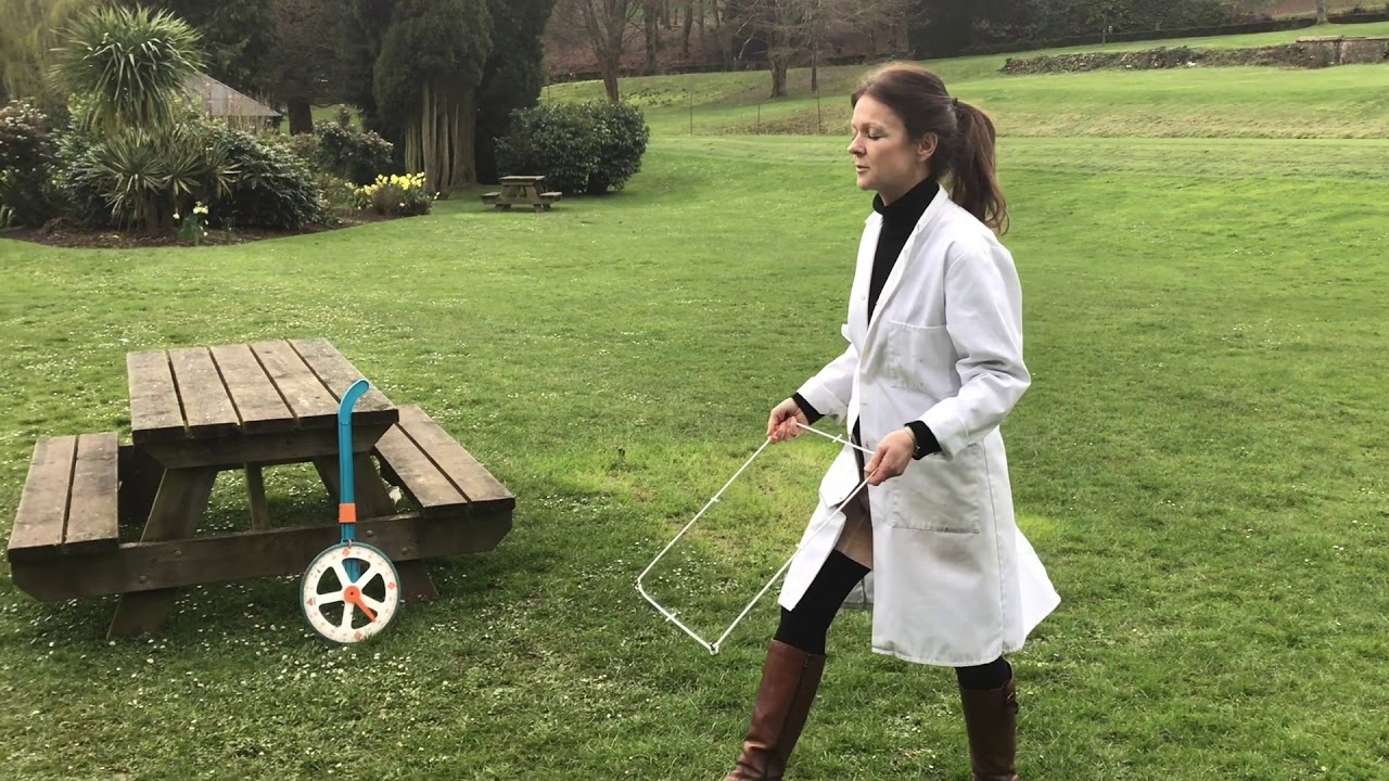 Sampling with quadrats