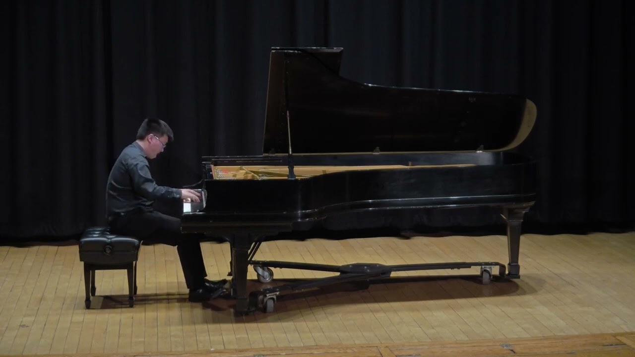 Schubert Sonata in c minor, D. 958