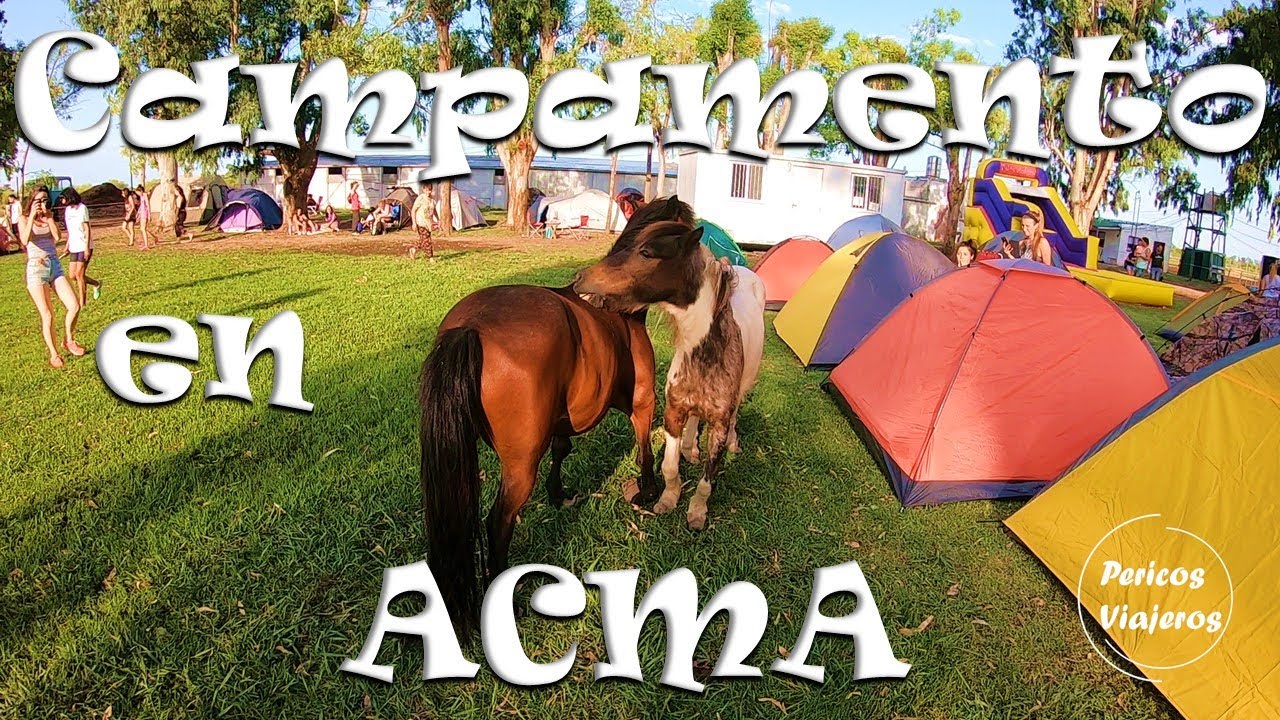 🏕️¿ACAMPAR rodeado de CABALLOS?🐴| CAMPAMENTO🌅en ACMA 2020