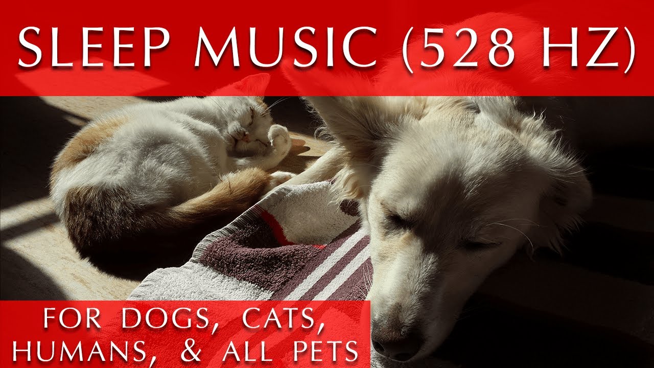 Sleep Music for Dogs Cats and All Pets [528 Hz - Love and Healing]