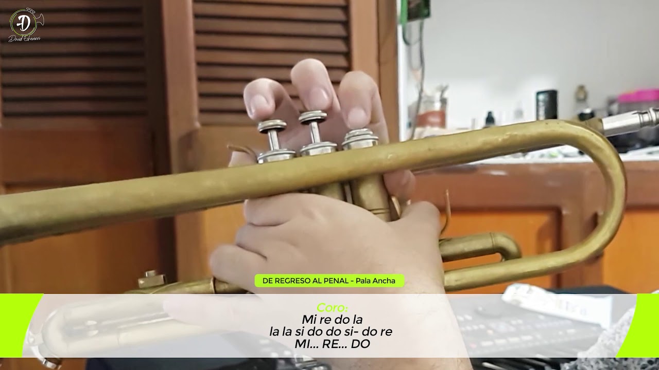 DE REGRESO AL PENAL🎺 | Notas para Trompeta | 2020 |#DavidEcheverri