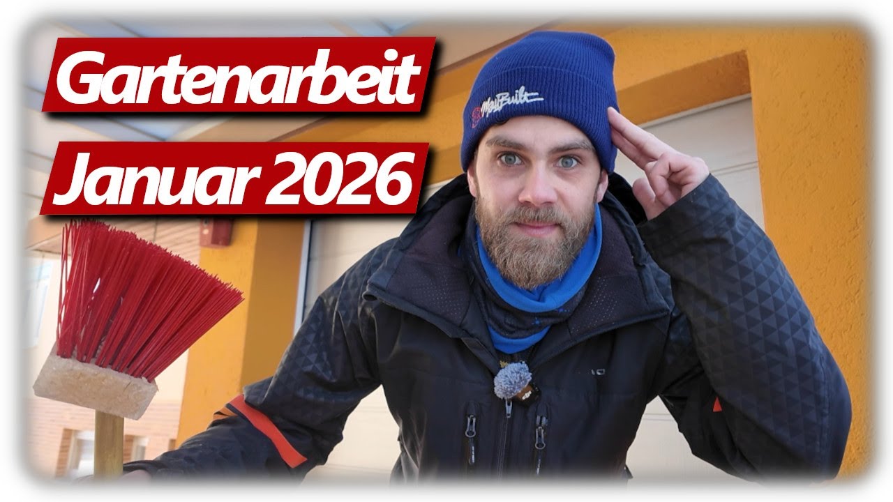 Gartenarbeit Januar | Ingwer Anzucht starten, Vogelfütterung, Stunde der Wintervögel 2026