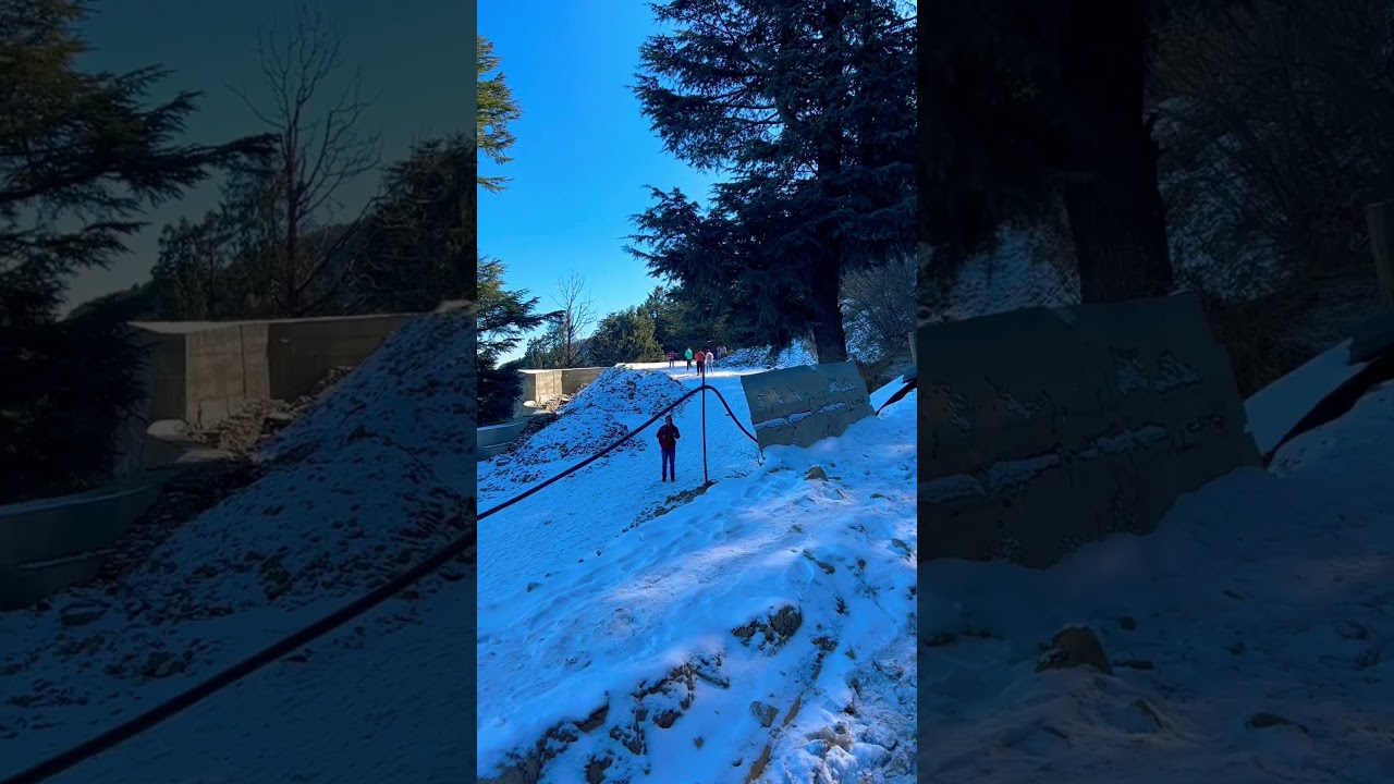 Shimla-Kufri Snowfall 31/12/2022- 2023 ❄️❤️☃️