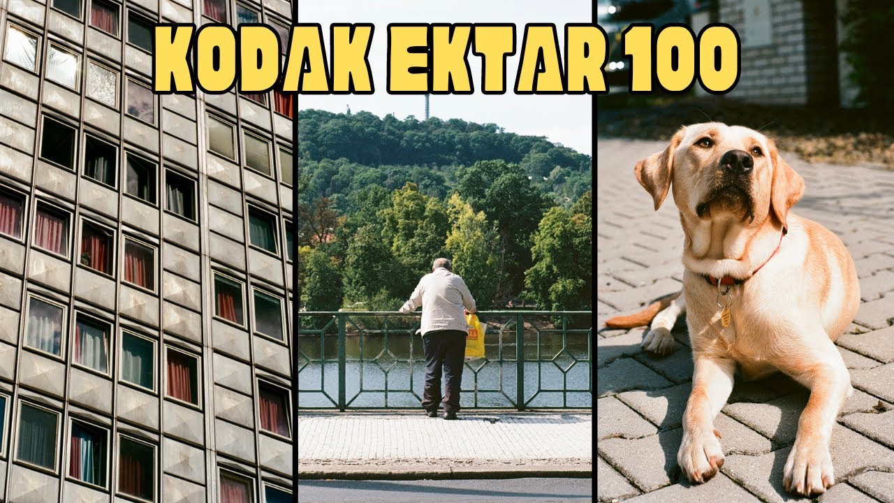 Is the KODAK Ektar 100 worth the price? | Film stock review