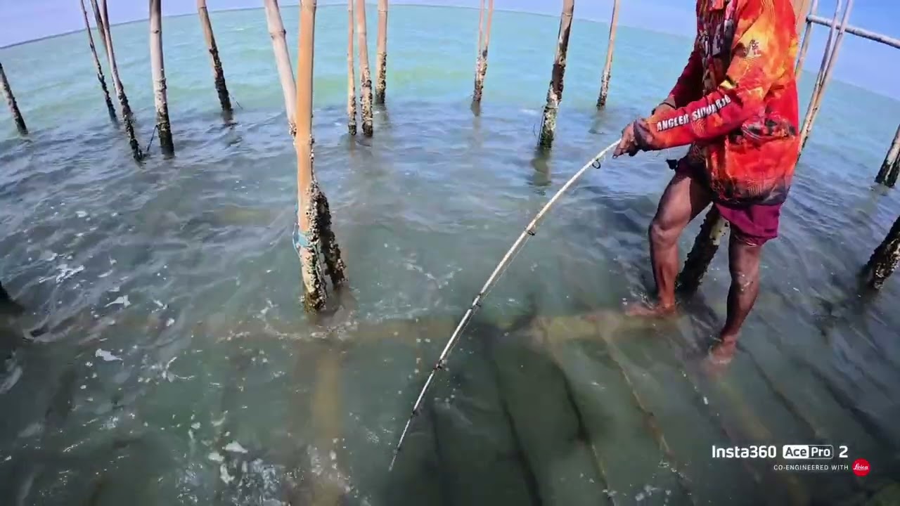 KESERUAN MANCING DI BAGAN KERANG IJO ( ON BOAT RANDUBOTO SIDAYU GRESIK )
