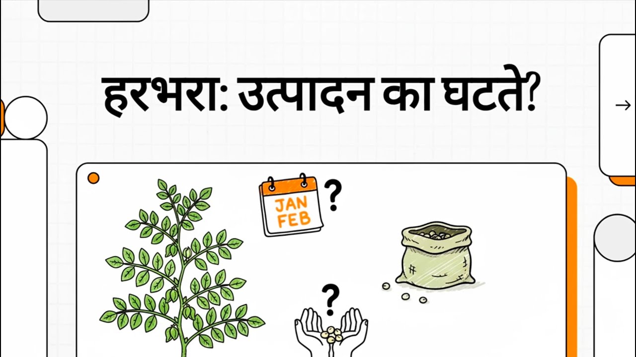 हरबऱ्यात उत्पादन कमी होण्याची 5 लपलेली कारणे