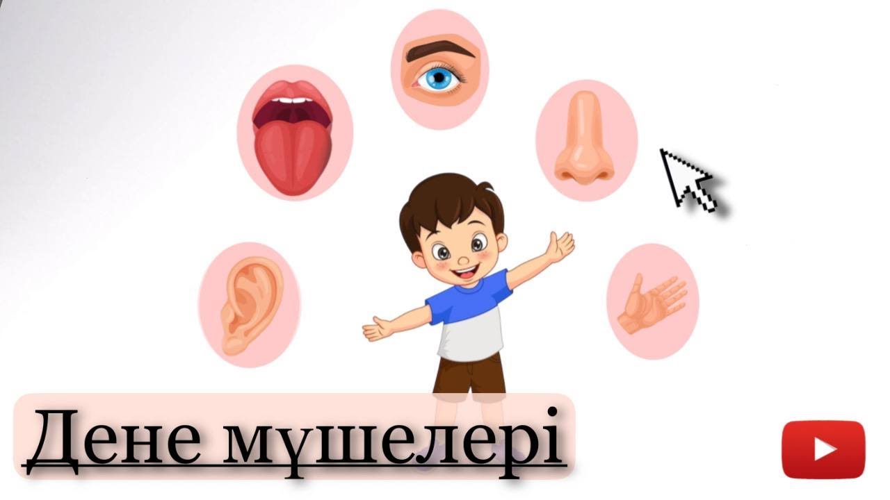 Денемізбен ТАНЫСАМЫЗ.Менің денем. Части ТЕЛА казакша.