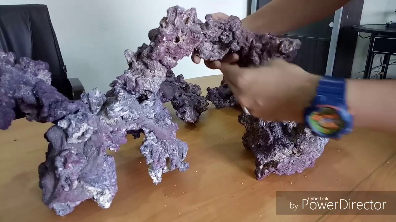 Unboxing Caribsea Life Rock Shapes