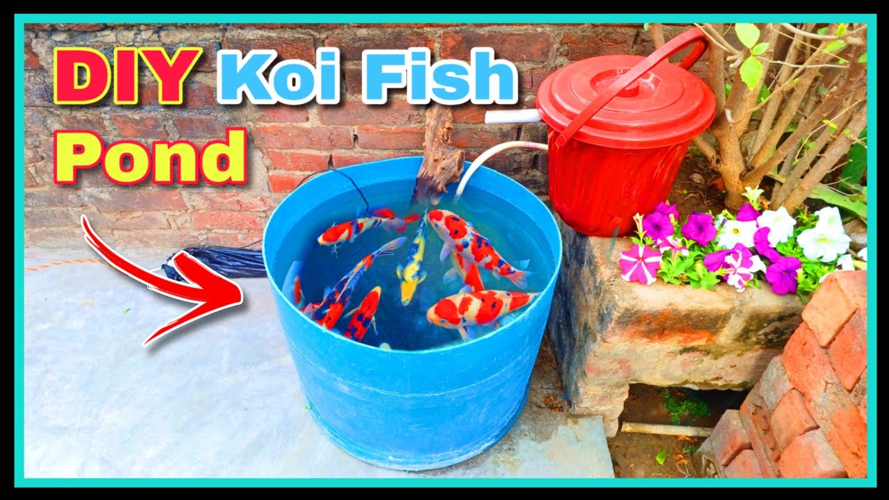 Desi DIY Koi Fish Pond 🥰 | How to make koi fish pond || DIY Homemade Filter