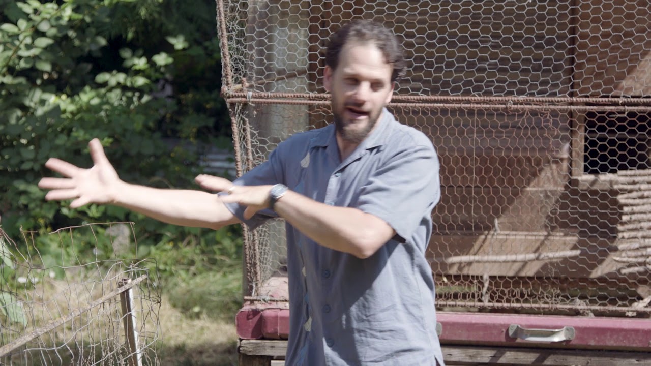 Backyard Permaculture Chicken Rotation System
