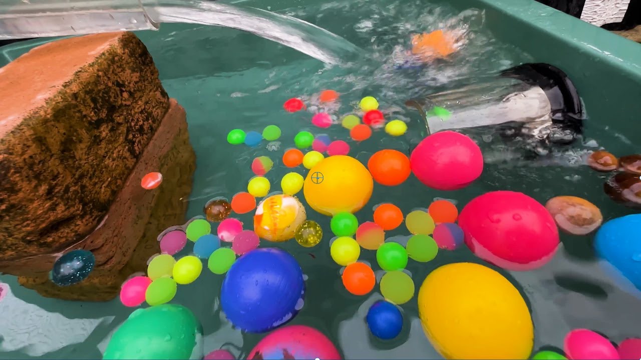 Водный мраморный забег ☆ Сборник курсов для плотников своими руками