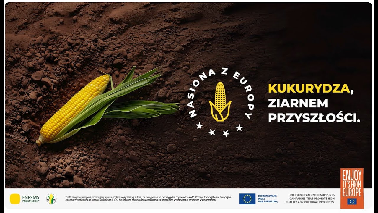 Krajowy Dzień Kukurydzy z PZPK 2025 - relacja