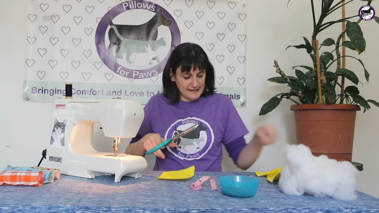 How to Make Pillows for Paws Catnip Toys