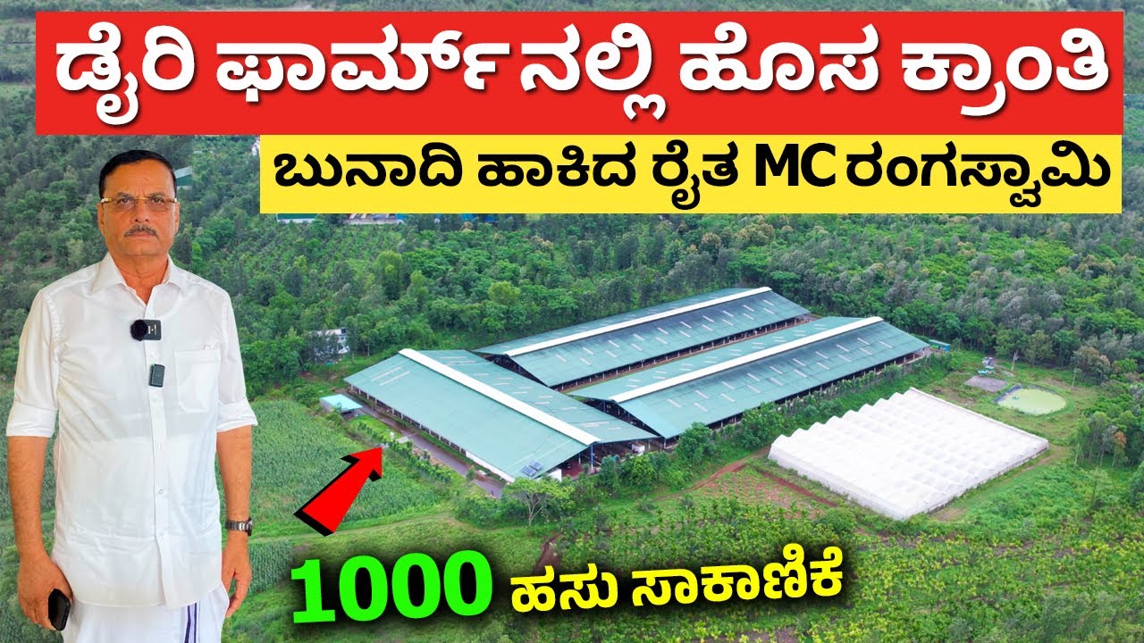 ಇಂತಹ ಡೈರಿ ಫಾರ್ಮ್ ನೀವು ನೋಡಿರಕ್ಕೆ ಸಾದ್ಯವಿಲ್ಲ | Modern Dairy Farm in Karnataka 1000 cows dairy farming
