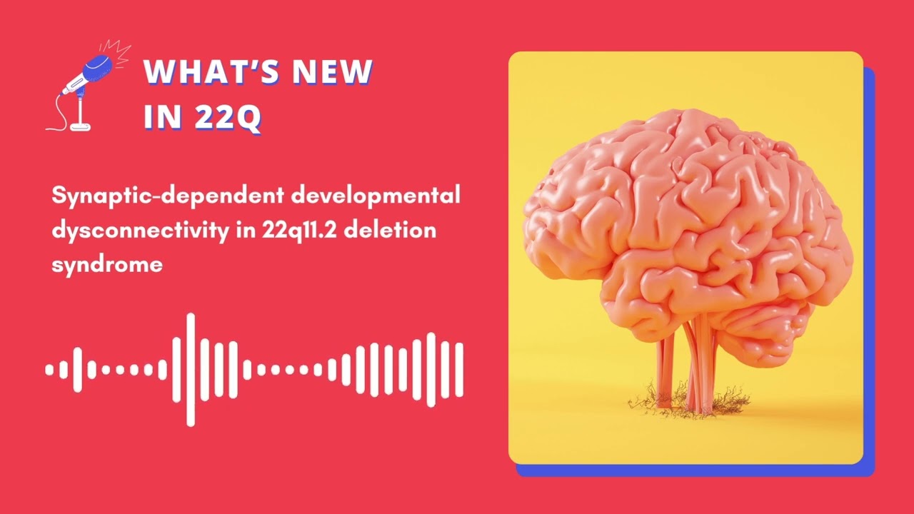 What's new 22q - Episode 1 - Synaptic Dysconnectivity in 22q11 - produced by Stephan Eliez