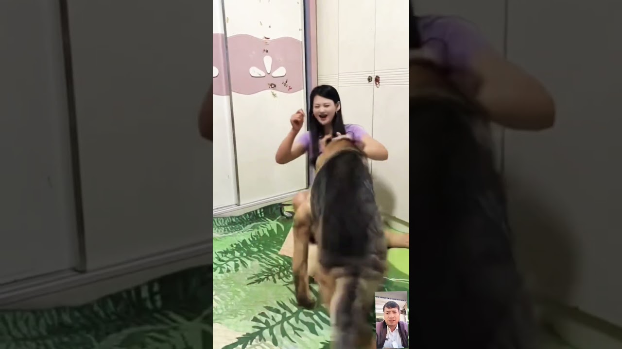 love dog puppy #cute #cutedogs #dogbreeds #videoshort PE163