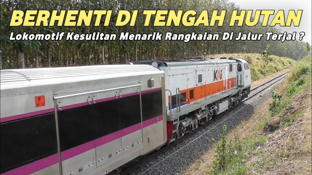 MENEGANGKAN!! KA Majapahit Berhenti Di Tengah Hutan, Lokomotif Kesulitan Menarik Di Jalur Terjal?