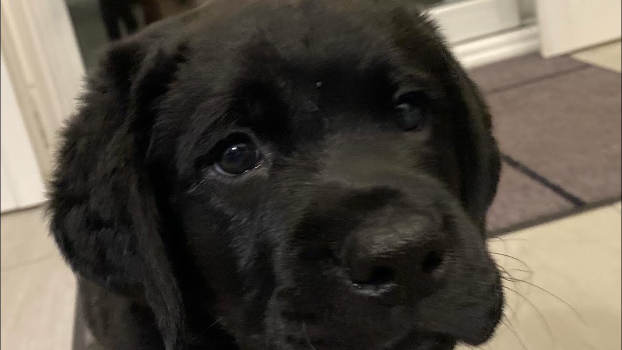 Dune’s First Day