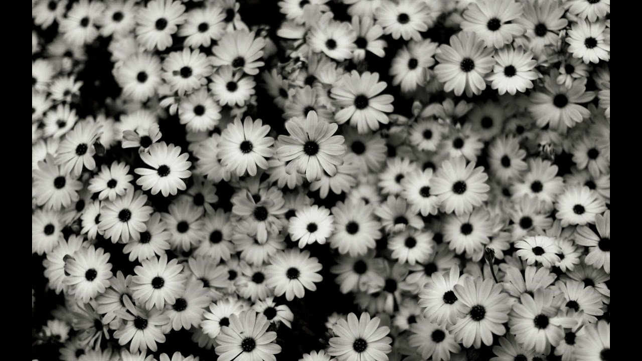 Sorin Milea - Running back