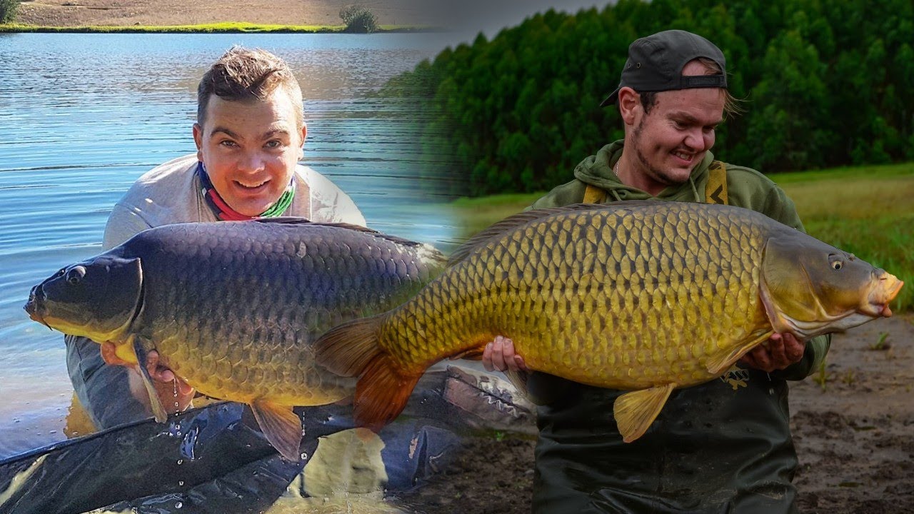 Carp conversation with TipTopFishing... Getting sponsored, photography and carp fishing tips.