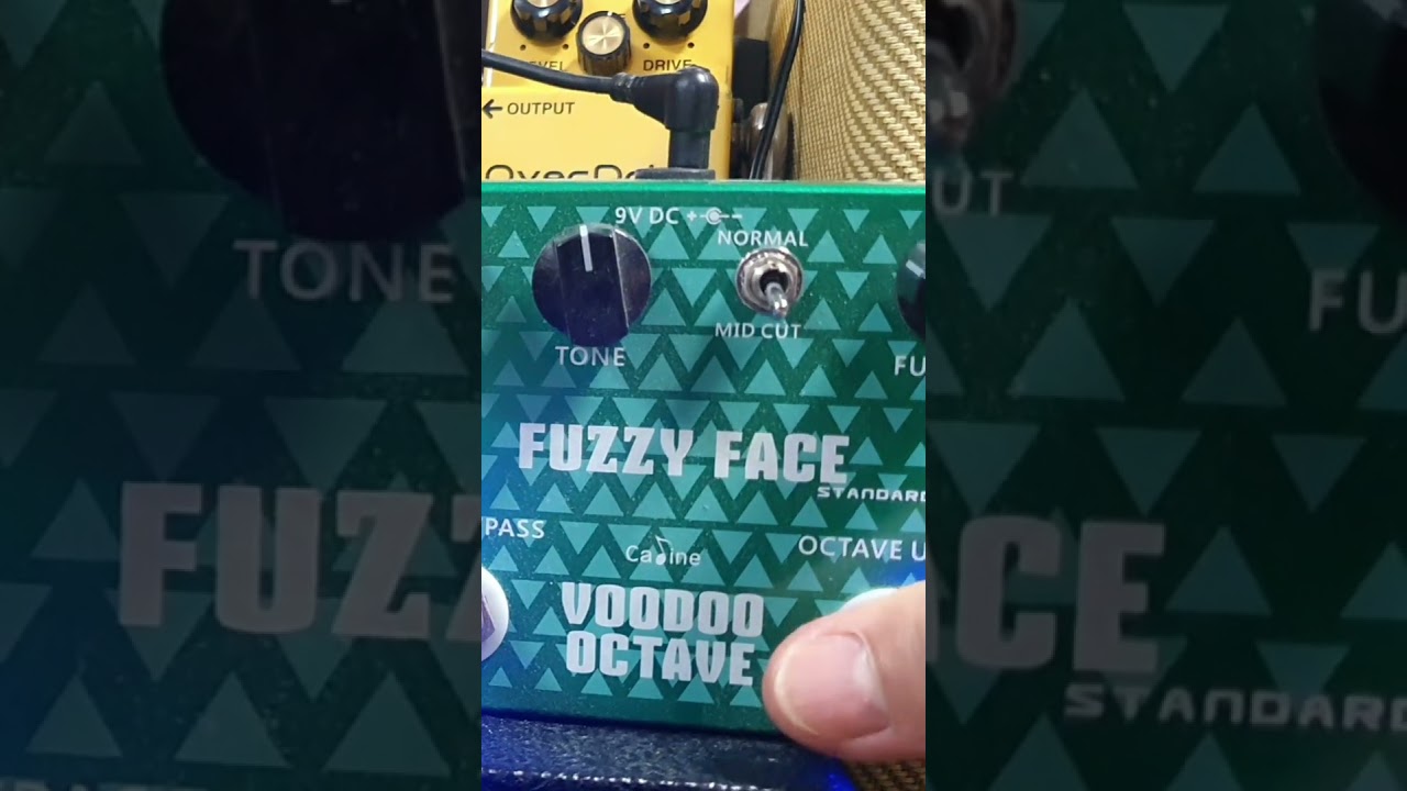 FUZZY FACE fuzz(VOODOO OCTAVE)+Fender 69Relic Electric Guitar+Fender Blues Deluxe Amp