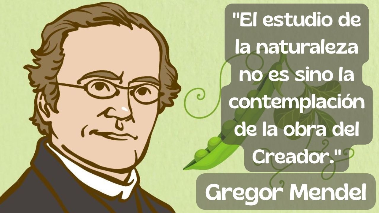 Las FRASES más REVELADORAS de Gregor Mendel | El Monje que Descifró la Herencia Genética