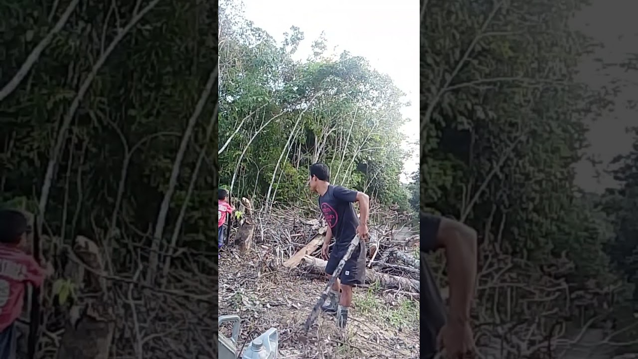 Bikin api unggun di ladang 