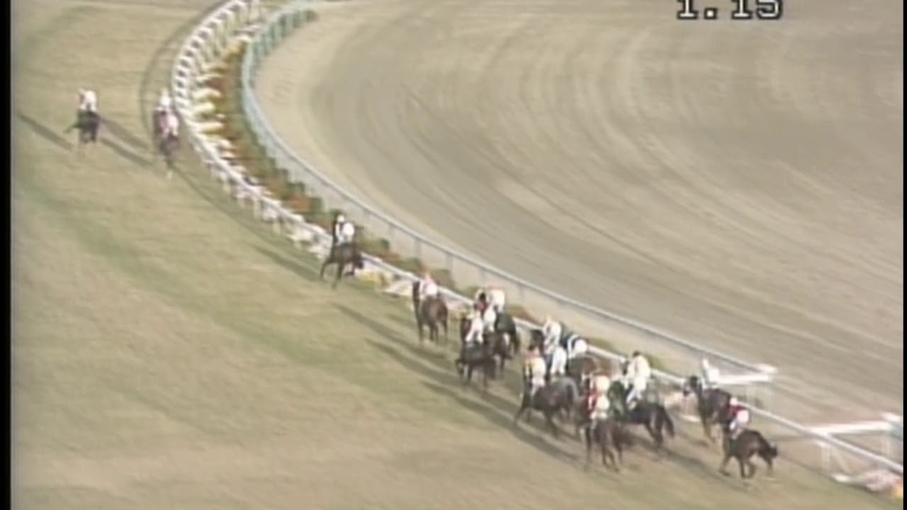 20世紀の名馬　87位　ミホシンザン
