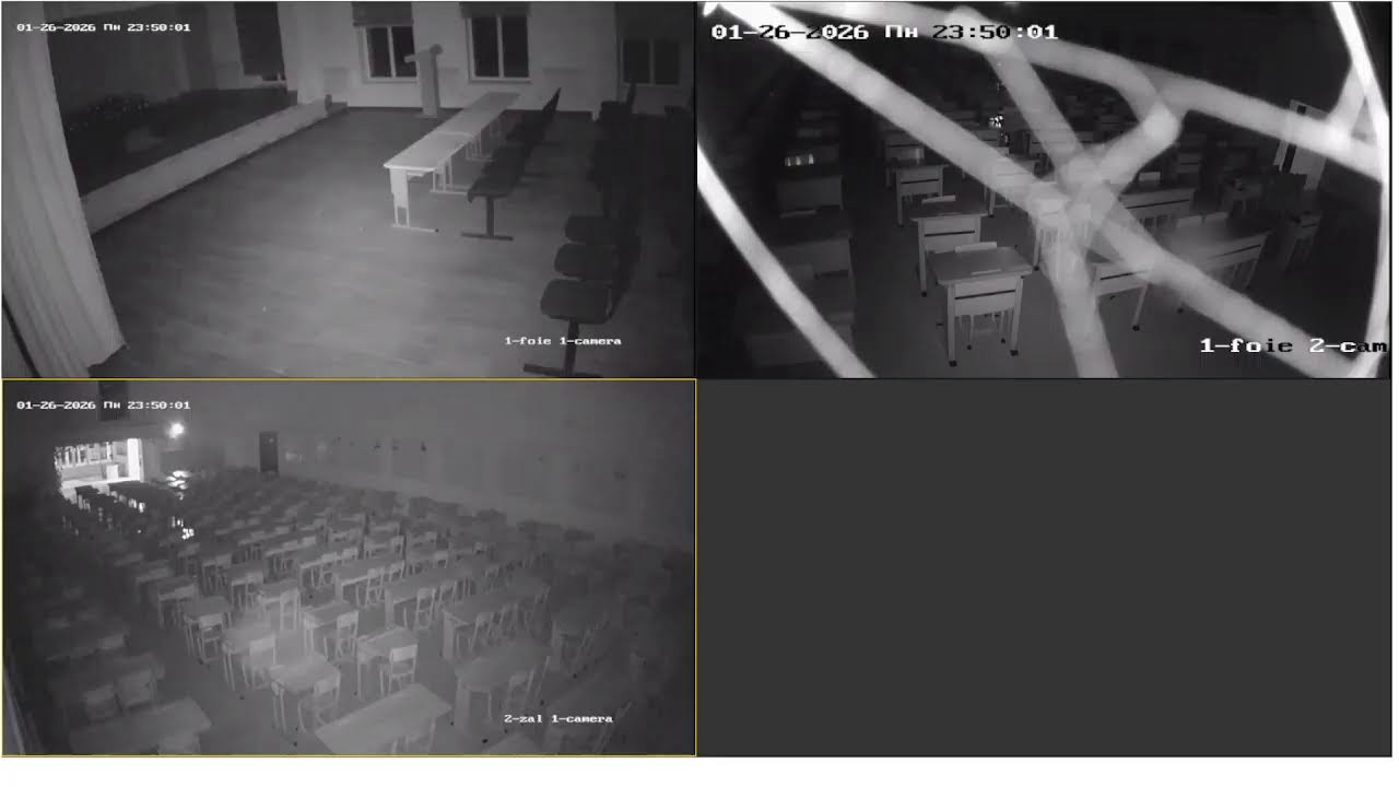 Jıldıń eń jaqsı Shet tili tańlawı