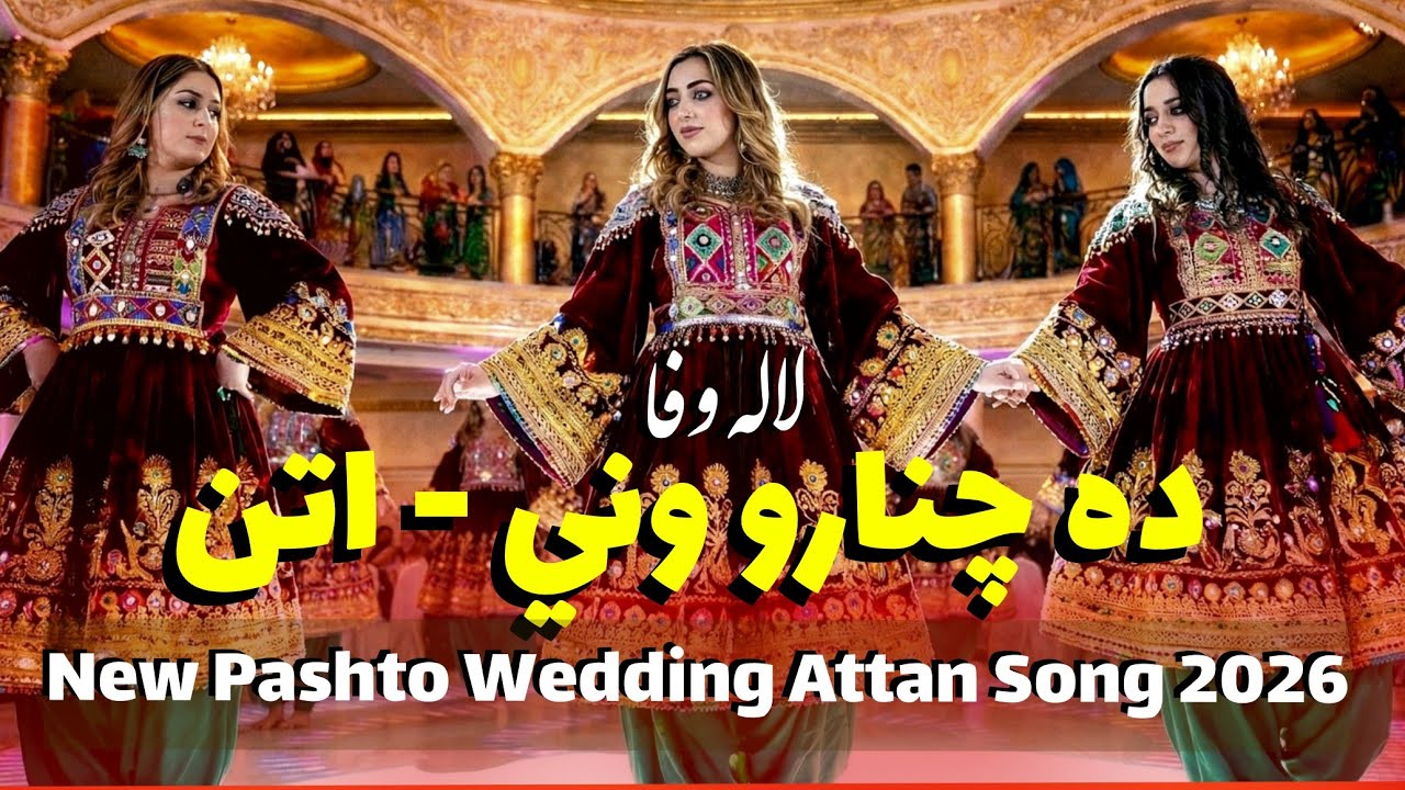 Da chinaro wane | New pashto attan song mast 2026 | Lala wafa| ده چنارو ونی | لاله وفا | #پشتو #اتن