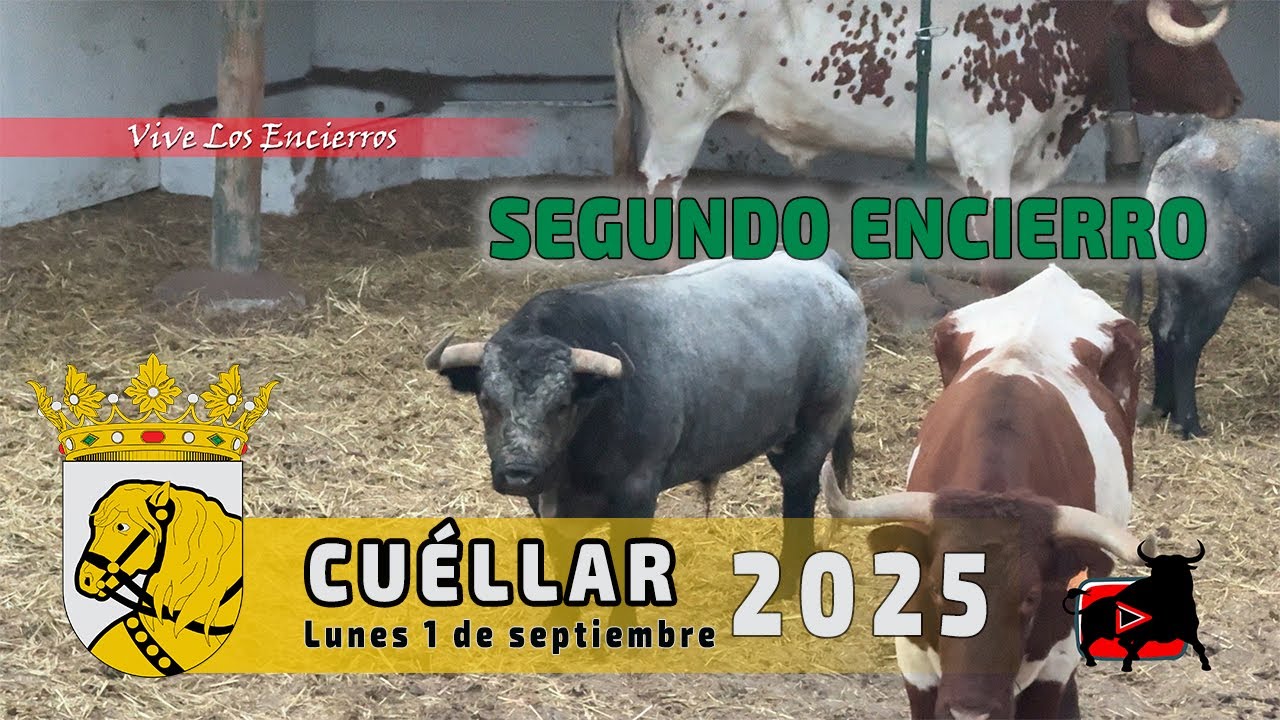 SEGUNDO ENCIERRO MIXTO CUELLAR 2025