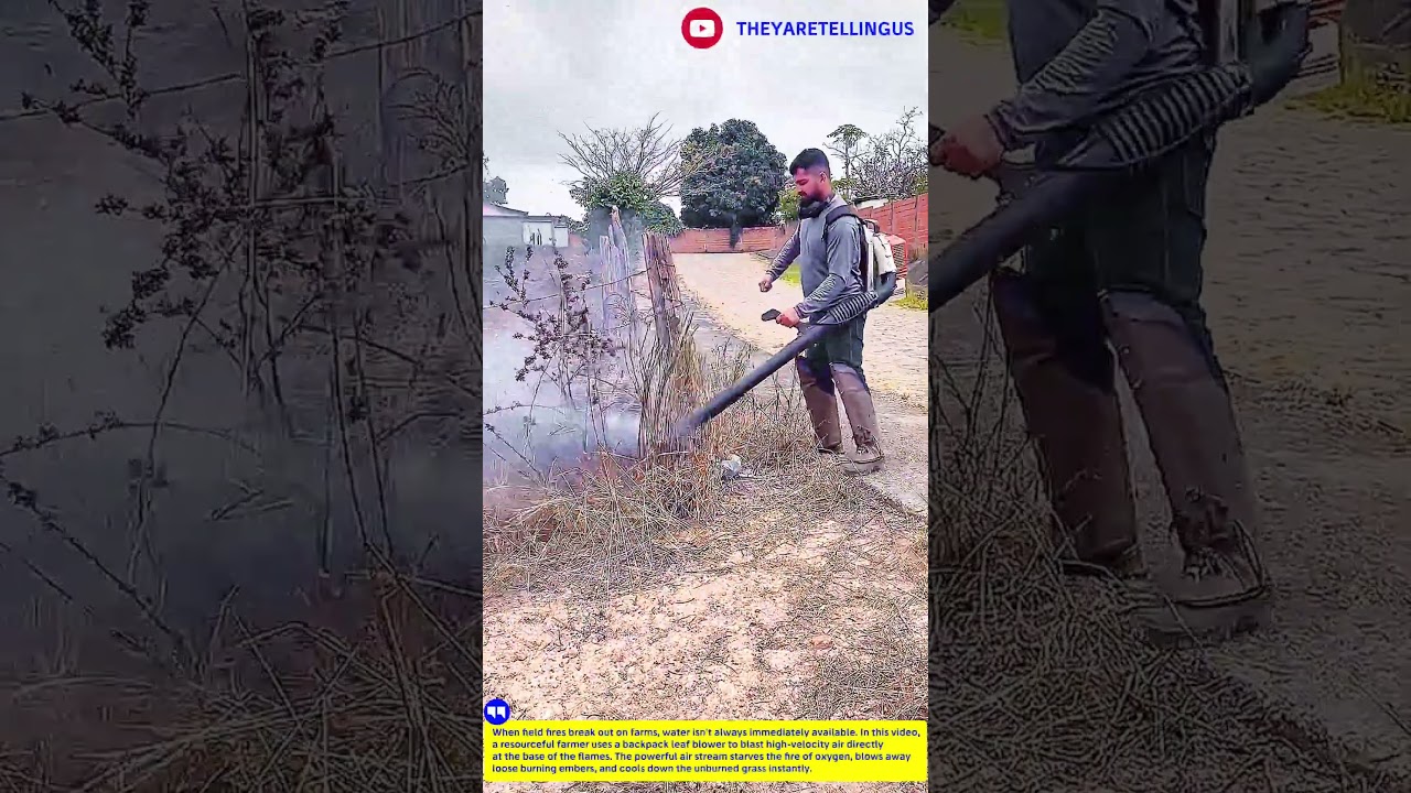 Unbelievable Wildfire Hack! Fighting Fire with a Leaf Blower 💨🔥 #farm #hack #ideas #smart #rurallife