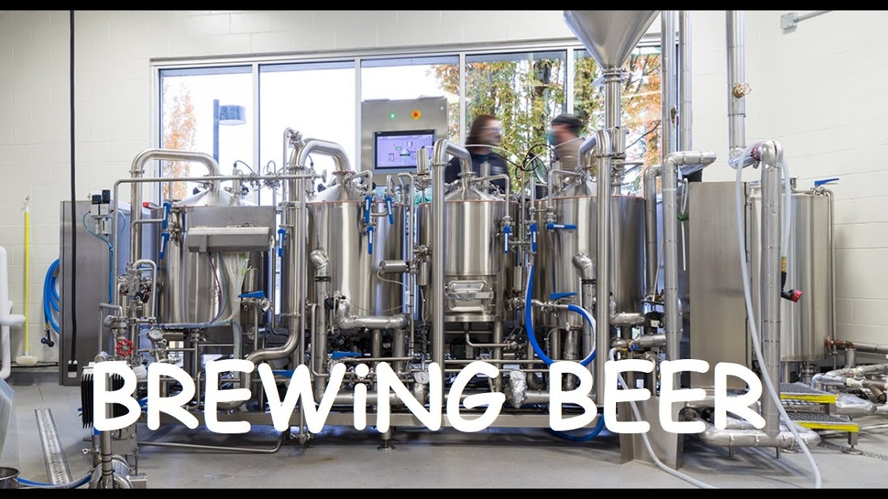 How to Make Beer? - A Complete Guide to Beer Making Process (The Journey of Beer from Malt to Glass)