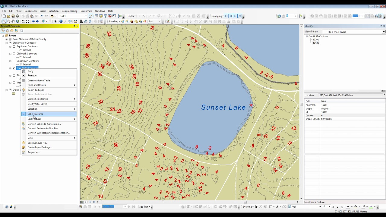 ArcMap Labels and Identity