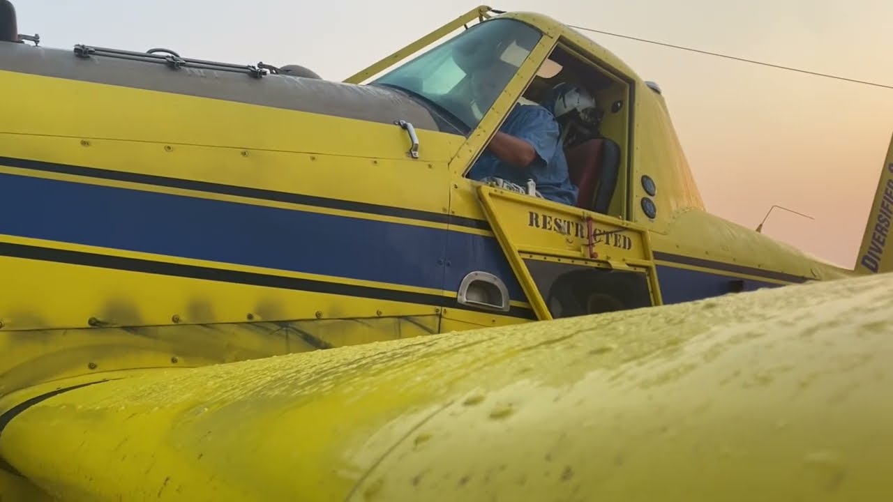 402 crop dusting 2025 mid season