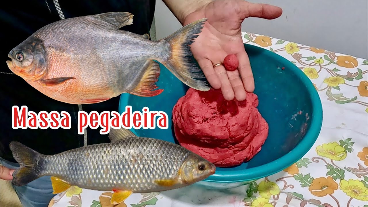 👆👍🎣Com essa massa arrebenta de pegar pacu e piapara. Sucesso nas pescarias! 🎣