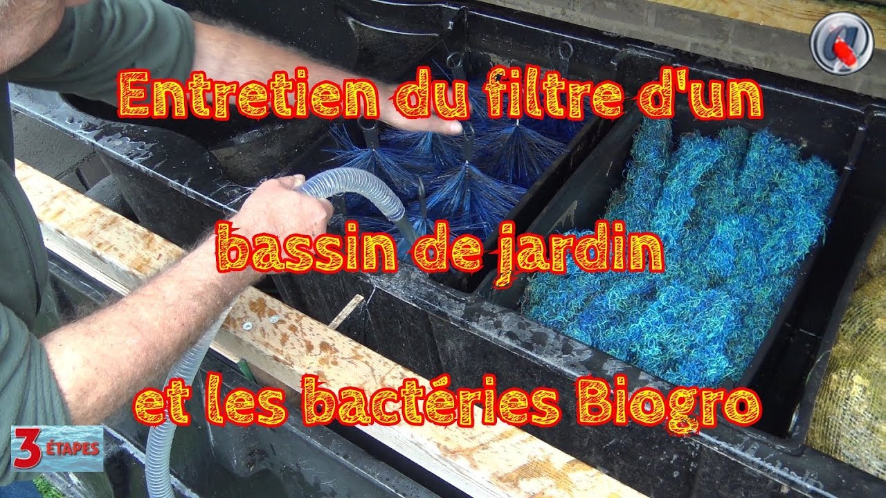 Entretien du filtre d'un bassin de jardin et les bactéries Biogro