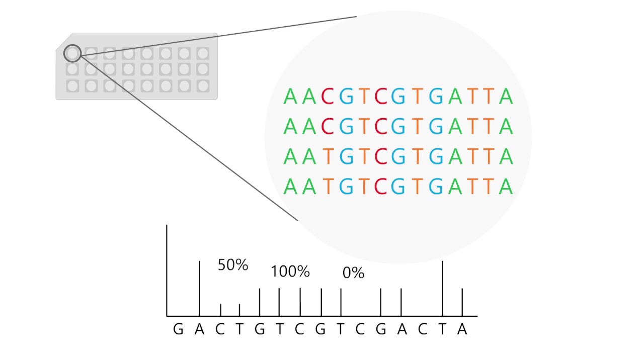 Pyrosequencing: how to interpret results