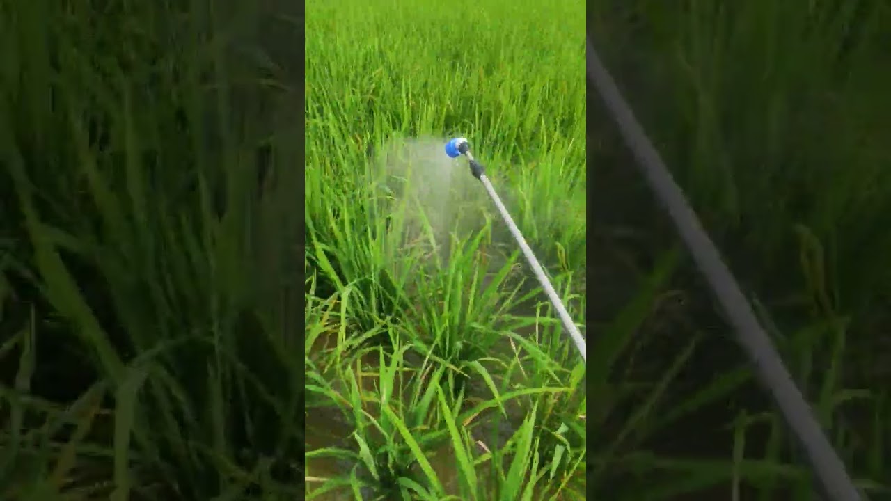 Review Nozzle Spuyer Plastik Tanika Lubang 4 #nozzle #spuyer #petani